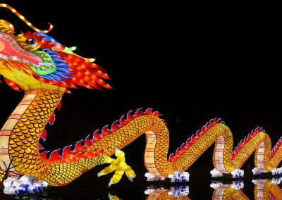 Act like a Dragon! – 29 Oct